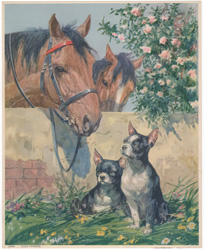 Vintage calendar/poster prints of dogs